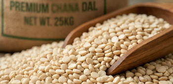 Premium Chana Dal (Split Chickpeas) from Kashyap Food Products Premium Chana Dal (Split Chickpeas) - Kashyap Food Products - India