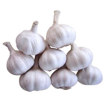 Carefully Sorted Fresh Normal White Garlic Supplied In Export Cartons With Hygienic Packing - malter group - Tanzania