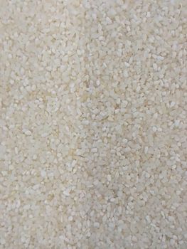 100% broken Sortex rice - Fusionflavo Import Export - India