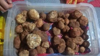 Truffle - ABIDINE NUTRI LLC - United States