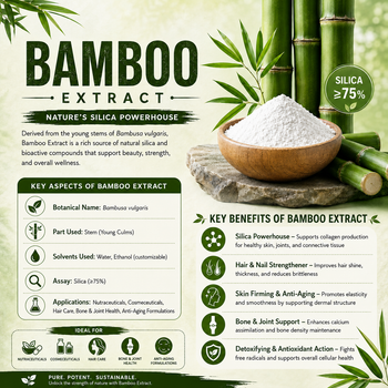 Standardized Bamboo Stem Extract 75% Silica Powder - Natural Bulk Botanical Raw Material - Global Merchants - India