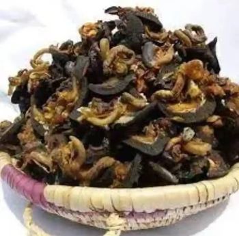 High Quality Natural Dried Giant African Land Snails for Sale Edible Snails In Stock Buy Now with Wholesale Price WHATSAP +255787979235 - AL JABLI TRADING COMPANY LIMITED - Tanzania