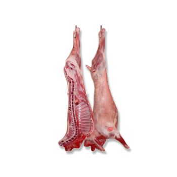 Lamb and Goat Meat. - Mayaar & Co. - India