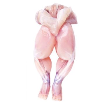 High quality frozen frog legs/ Ancas de rana competitive price - TANIS IMPORT & EXPORT COMPANY LIMITED - Vietnam