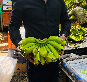 Banana ( G9 CAVENDISH) from ALI AGRI EXPORT Banana ( G9 CAVENDISH) - ALI AGRI EXPORT - India