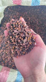 Cloves lalpari - PT MARINE TRADE LINES - Indonesia