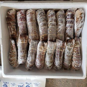 Lobster FROZEN FROZEN LOBSTER TAIL / FRESH LIVE Cold water Fresh ALIVE Lobster crayfish - TREVEX INTER COMPANY LIMITED - Thailand
