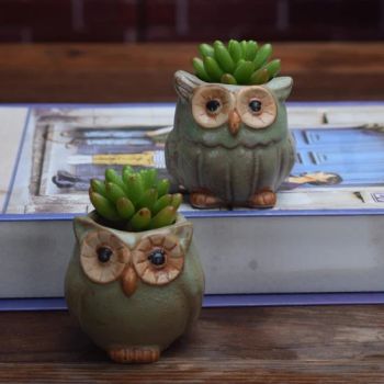Ceramic Mini Cactus Planter Flowerpot Owl Succulent Plant Pots Indoor Window Bl20603 - Ningbo Ezfocus Co., Ltd. - China