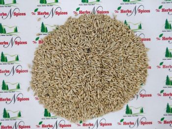 Barley seeds - Sinhal Herbs  - India