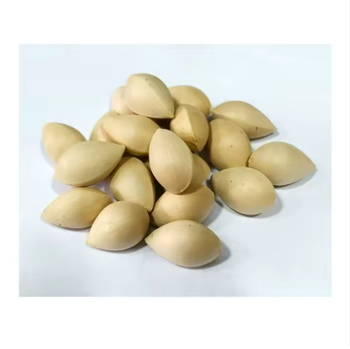 Premium Ginkgo Nuts Grade A Shape oval Flavor Natural Flavor Processing Standards Iso, Haccp, And Halal-certified Nutritional Content Rich In Antioxidants, Vitamins, And Minerals - TRADE NEPAL LLC - United States