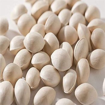 Carefully Processed Ginkgo Nuts Whole Seed Selection Featuring 99% Clean Kernels For Professional Food Buyers - TOSOH INTERNATIONAL - South Africa