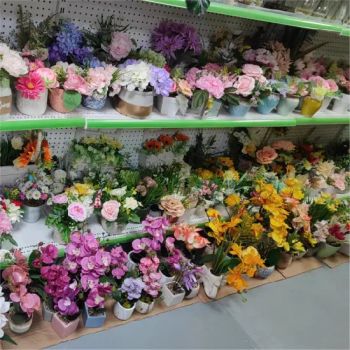 Artificial Flower Dried Flowers Peony Flowers Bonsai Decoration Rose Artificial Plant Phalaenopsis Riorchid Trandafiri Tulip Artificial Flower Plant - Cheng Yi Creation Company Ltd - China