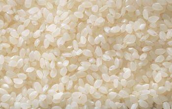 Premium Sticky Rice Freshly Harvested Authentic Quality Perfect For Traditional Meals Desserts Daily Cooking from TRADECENTRIC LLC Premium Sticky Rice Freshly Harvested Authentic Quality Perfect For Traditional Meals Desserts Daily Cooking - TRADECENTRIC LLC - United States