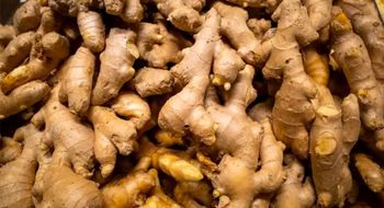 Ground ginge Type FOB Potency High Texture Fresh Max. Moisture (%) ≤12% Quality Control Rigorous Supply Chain Integrity Ensured - IJAD AGRO BUSINESS - Tanzania