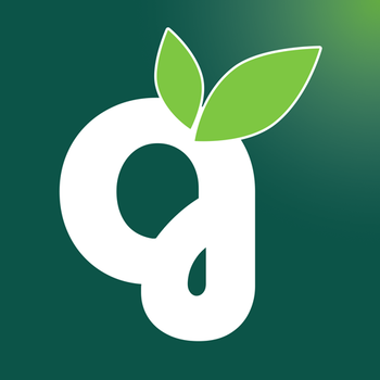White Kidney Beans - Green Roots Company - Egypt