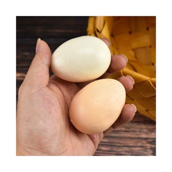 Quality Fresh White and Brown Table Eggs Ostrich Eggs and Other Birds - Medcompex Gmbh - United Kingdom