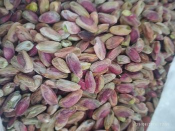 Premium Shelled Pistachio Kernels - Louzetna - Global
