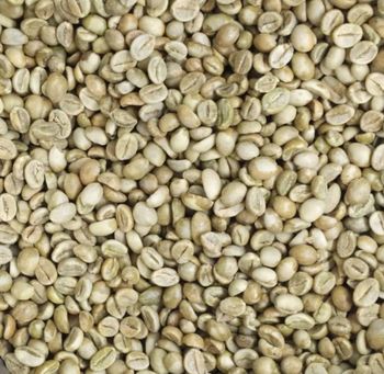 coffee bean  Form - natural nusantara global - Indonesia