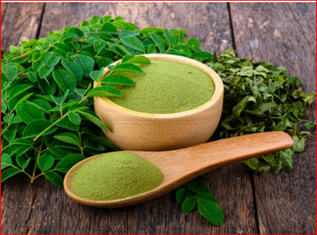 Moringa leaf powder - FP company - Bangladesh