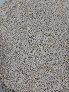 White Humera Sesame seed - yuti export - Ethiopia