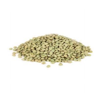 Premium Quality Green Lentils Organic Dried Lentils Seeds - GOLDEN STAR BV - South Africa