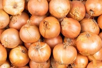 Onion (Small Size) - AGROTRAKIA INTERNATIONAL TRADE OOD - Bulgaria