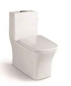 Chaozhou Sanitary Wares Water Saving One Piece Toilet - Chaozhou Central Intelligent Sanitary Ware Technology Co., Ltd. - China