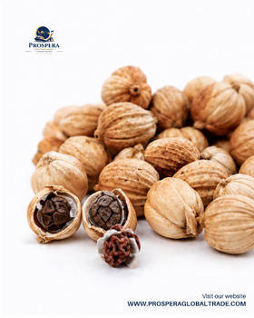 White Cardamom from Prospera Global Trade Nusantara White Cardamom - Prospera Global Trade Nusantara - Indonesia