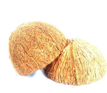 Coconut Shell – product photo, Coconut Shell Granular products found from trusted suppliers, wholesalers, manufacturers & exporters Listing