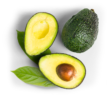 hass avocado - sj - Kenya
