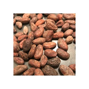 High Quality Cocoa Beans - Cacao Beans - Chocolate beans - AFRIVET TRADING SERVICES - South Africa