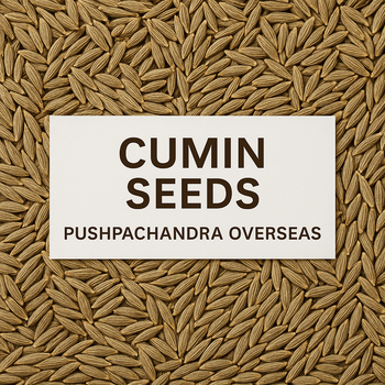 Premium Quality Cumin Seeds of Singapore 99 Quality - Pushpachandra Overseas - India