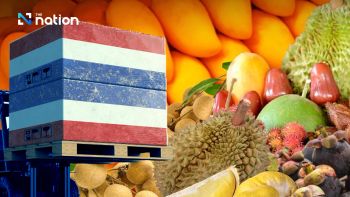 Fruits - R Cube Thailand - Thailand