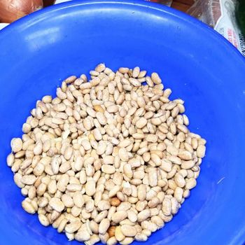 High Purity Pinto Beans For Bulk Supply Programs Delivering Reliable Grain Selection For International Buyers – product photo, Whole Pinto Beans products found from trusted suppliers, wholesalers, manufacturers & exporters Listing