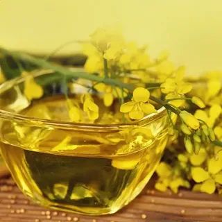 Rapeseed Oil Refined in Flexitanks by 1 MT (abiut 8000 litres) - Red Sellers group - Russian Federation