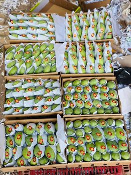 Egypt Fresh Mango - LuxFood - Egypt
