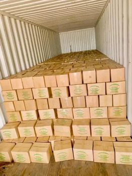 Shea butter from GHexpo Shea butter - GHexpo - Ghana