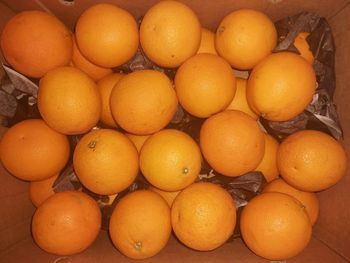 Organic Sweet Orange from BF GLOBAL TRADING (PTY) LTD Organic Sweet Orange - BF GLOBAL TRADING (PTY) LTD - South Africa