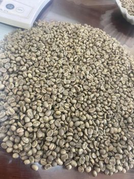 Green coffee beans Color Green Container Size 20ft Packaging Type Bags Shipment Type Fcl/fcl Processing Type Arabica Roasting Status Not Roasted - TBESTPRO TRADING INVESTMENT COMPANY LIMITED - Vietnam