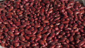 Red Kidney Beans 5% Broken – product photo, Dried White Beans products found from trusted suppliers, wholesalers, manufacturers & exporters Listing