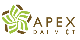 Product - APEX DAI VIET., JSC - Global