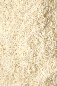 Premium Basmati & Non-Basmati Rice from Rao Trading Co Premium Basmati & Non-Basmati Rice - Rao Trading Co - Netherlands