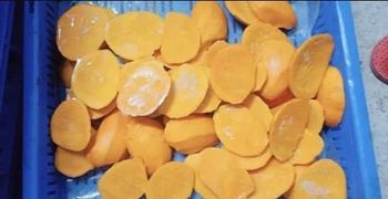 Vietnam IQF Frozen Mango Diced Sliced for Food Processing Wholesale - Viet D.E.L.T.A Industrial Co.Ltd. - Vietnam