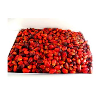 Premium palm nuts bulk supply wholesale affordable price fresh harvest - AMAC GOLD AND DIAMOND METALS SUPPLIER - Germany