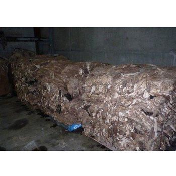 Wet Salted Donkey Hide High Quality Raw Animal Hide for Tanning Facilities. - TREVEX INTER CO.,LTD - Thailand