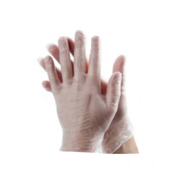 Vinyl Household Gloves Disposable Vinyl Gloves for Food and Cleaning - Suzhou Texnet Co., Ltd. - China