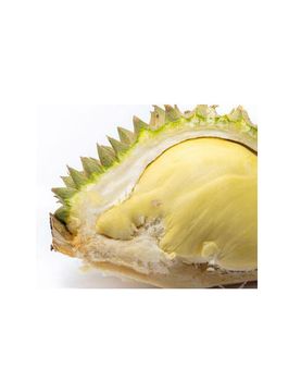 Wholesales High Quality Export Grade Delicious Sweet Fresh Fruits Best Seller New Crops Thai Fruit Thai Durian Monthong - J.C.P IMPORT AND EXPORT CO., LTD - Thailand