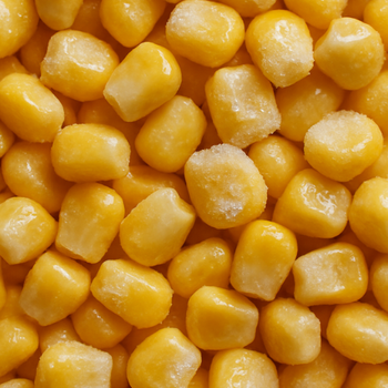 Frozen Sweet Corn IQF Flavor Sweet Texture Crunchy Color Golden-yellow Grade Aa Grade Export Quality Processing Method Individually Quick - GRAVEN MARKETING & CONSULTANCY PVT. LTD. - India