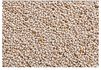 White Chia seeds Color White Purity - Quessentials Pvt Ltd - India