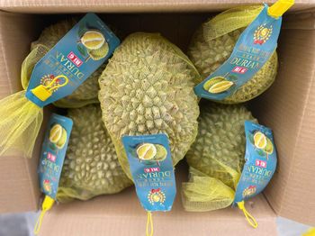 Frozen Whole Ri6 Durian Packaging 4-6 - Phuong Ngoc Cai Be Limited Liability Company - Vietnam